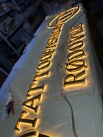 Enseignes LED 3D rétroéclairées personnalisées pour extérieur, en acier inoxydable brossé doré, lettres en relief 3D en acrylique pour entreprises et centres commerciaux