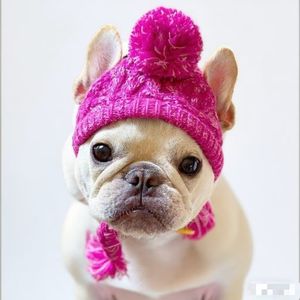 사랑스러운 작은 강아지 모자-치와와/요크셔 테리어용 조절 가능한 면 강아지 모자 통기성 및 방수 여행 사진 소품 및 일상 착용 - Product Image 3