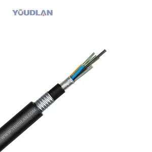 HG YOUDLAN GYTA53 double outer sheath outdoor Corrugated steel tape G652D 6 12 24 48 96 144 288 core fiber optic cable