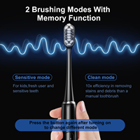 Brosse à dents électrique sonique intelligente à piles avec minuterie, appareil de soin buccal pour adultes, nettoyage des dents, étanche, OEM/ODM