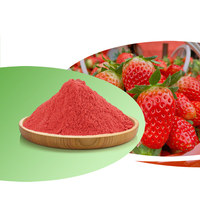 100% Puur Vers Biologisch Aardbeipoeder