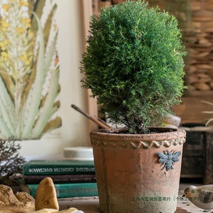 กระถางดอกไม้ทรงรีสีแดงแบบใหม่  ดอกไม้ประดิษฐ์  สไตล์เรโทรอเมริกัน  สไตล์ยุโรป  สไตล์ชนบท  ขนาดใหญ่  สำหรับตกแต่งสวน - Product Image 3