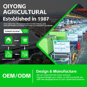 Luchtgekoelde Draagbare Benzinepomp 2Inch 3Inch 4 Inch Grote Stroom Landbouw Irrigatie Waterpomp - Product Image 2