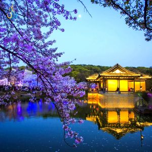 La Artesanía de las Linternas del Patrimonio Cultural Inmaterial Crea Hermosas Vistas Nocturnas de Jardines Orientales - Product Image 2