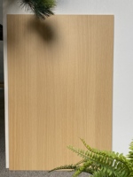 Panneau de meuble stratifié en OSB mélaminé 1220x2745mm (4x9ft) de qualité E0, finition PET UV HPL, pour usage hôtelier moderne