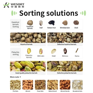 Wesort nhà sản xuất 6sxz-68lgb Nut thép không gỉ máy móc chế biến Hazelnut colour SORTER núi hạt dẻ phân loại máy - Product Image 3