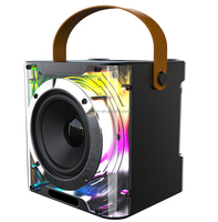 Haut-parleur karaoké LED RGB avec micro et Bluetooth, micro USB TF rechargeable, lumière portable, haut-parleur Bluetooth sans fil 829