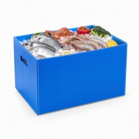 Caisse en plastique ondulé bleu PP étanche et empilable avec poignées pour le transport de fruits de mer et de produits frais