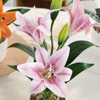 Plante artificielle de lys en pot, réaliste, miniature, à trois têtes, pour la décoration intérieure et les arrangements de vitrine de centre commercial