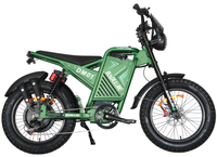 Vélo Électrique à Cadre Bas B2B pour Neige, Sable et Tout-Terrain