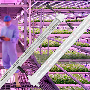 Luz LED Quadrada para Cultivo de Plantas, Tomate, Morango e Vegetais, à Prova d'Água, Espectro Completo para Agricultura Vertical e Estufas - Product Image 3