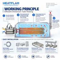 Brûleur tubulaire HTX40 pour chaudière, pièces de rechange, gaz naturel, chauffe efficacement les liquides, gain de place, brûleur pour réservoirs immergés, finition métallique