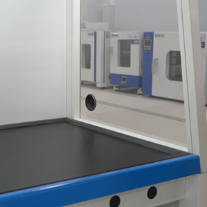 Campana de Extracción de Humos sin Ductos Biobase a Buen Precio, Modelo FH1000C, Volumen de Extracción 136m³/H, con Filtros HEPA, <span class=keywords><strong>para</strong></span> Laboratorio y Hospital - Product Image 6