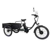 Logo personnalisé 24 "48V batterie au lithium tricycle électrique à 3 roues Oem 500w tricycles électriques longue distance pour adulte