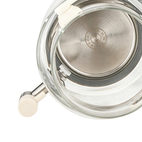 Bouilloire électrique en verre 3L avec vapeur, multifonction, pour infusions et tisanes, idéale pour la maison et la cuisine