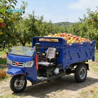 Tricycles diesel économiques à grande capacité de chargement |   Convient pour une utilisation rurale et industrielle