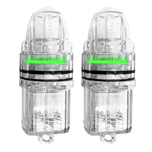Lampes de nuit LED, lampe de pêche en eau profonde, lumière LED sous-marine attrayante, bâton lumineux, filet à calmars, flotteur, lumière clignotante pour la pêche - Product Image 1