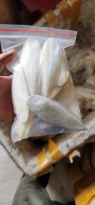 (VENTE CHAUDE 2024) -Os de seiche de haute qualité et de qualité supérieure/bon prix pour la vente/exportation du Viet Nam - Product Image 3