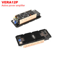 Imanes de neodimio VERA12P, altavoz amplificado de matriz lineal de 12 pulgadas, equipo de audio de sonido DSP
