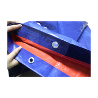 Feuille bleue de bâche de PE de bâche de bâche de couverture de toit de polyéthylène léger imperméable poly