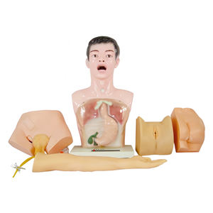 Práctica de medicina básica, operación de pasantía, cuidado anatómico, maniquí de Anatomía Humana, entrenamiento de enfermera, modelo de enseñanza de práctica de enfermería - Product Image 1