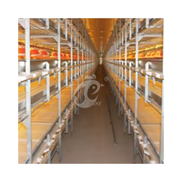 Système de cages de batterie automatique de type H pour poussins de couche