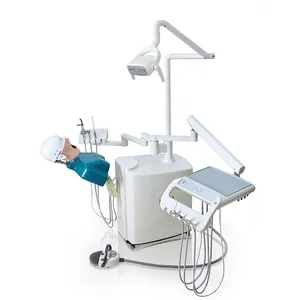 Dental Head Model Simulator Phantom Mannequin With Dental Manikin Phantom Head Phantom Dental