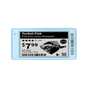 Nieuwe aanwinst zwart-wit 2-kleuren 2,9 inch E-ink display e-paper schapdisplay vriezer verse voedsel NFC display label voor supermarkt - Product Image 1