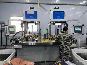 चीन का कारखाना सटीक धातु कास्टिंग उपकरण वर्टिकल डबल स्टेशन 10T सिलेंडर-मुक्त मोम इंजेक्शन मशीन का उत्पादन करता है
