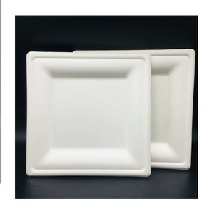 Biodegradable Sugarcane Bagasse Disposable Plates