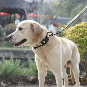 Tali kekang anjing peliharaan poliester dapat diatur & kerah anak anjing Aksesori anjing sedang untuk berjalan luar ruangan untuk anjing kecil & kucing - Product Image 2