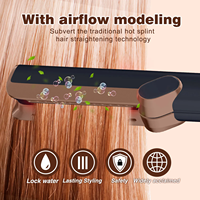 Nouvel arrivage Sèche-cheveux et lisseur Secador De Pelo Fer à lisser plat professionnel portable pour salon