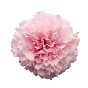 Flores Artificiales de Tela, <span class=keywords><strong>Claveles</strong></span>, Regalo para el Día de la Madre, Flor de Clavel - Product Image 2