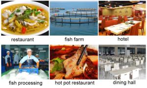 Die heißeste fliegende Fisch reinigungs maschine Speed Fish Cleansing Machine Automatische Fisch reinigungs-und Schneide maschine - Product Image 6