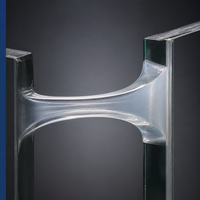 Sellador de Silicona de Bajo Módulo INGADA SR-25L, Resistente a la Intemperie, 300ml +/-25% para Juntas de Expansión de Ventanas y Puertas de PVC
