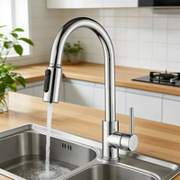 Robinet de cuisine moderne 3 en 1 avec douchette extractible, filtre purificateur d'eau, mitigeur en acier inoxydable 304 avec cartouche céramique