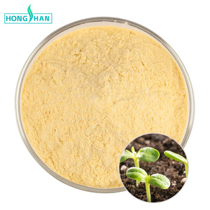 Оптовая продажа сельскохозяйственного хитозана в порошке, олигосахариды, водорастворимый хитозан, CAS 9012-76-4 - Product Image 1