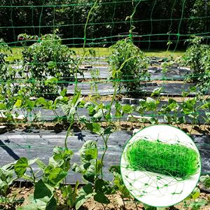 Malla de soporte para plantas de agricultura Huike de plástico con corte y estiramiento para pepinos, <span class=keywords><strong>guisantes</strong></span> y frijoles - Product Image 1