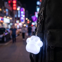 En stock, porte-clés LED rechargeable en forme de patte de chat de dessin animé, commande tactile, mini lampe de nuit, pendentif pour sac à dos, décoration, cadeau