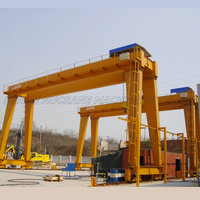 Grue à double portique à faible hauteur de tête pour applications à espace limité Haute performance et efficacité énergétique.