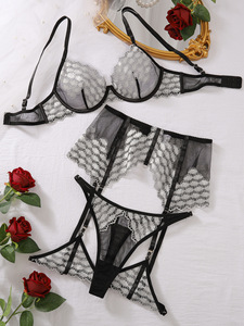 Ensemble de lingerie Chuangerm Spot 2025, nouveau <span class=keywords><strong>soutien</strong></span>-<span class=keywords><strong>gorge</strong></span> sexy en 4 pièces, en maille transparente brodée, <span class=keywords><strong>soutien</strong></span>-<span class=keywords><strong>gorge</strong></span> push-up avec jarretière - Product Image 4