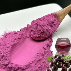 Pó de Extrato de Açaí Liofilizado Orgânico de Alta Qualidade LongSheng, Grau Alimentício 25%-100%/Pó de Açaí do Brasil - Product Image 1