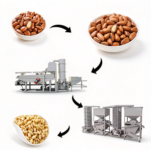 Máquina para Descascarar Piñones con Función de Clasificación, Automática, de Alta Productividad, Eléctrica, de Acero Inoxidable - Product Image 1