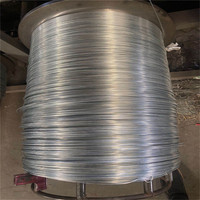 Fabricant de ligne de production d'usine de galvanisation de fil en acier électro-galvanisé