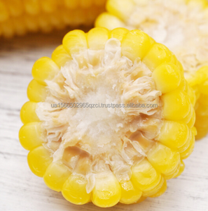 El mejor maíz amarillo seco para aves de corral y otros animales Alimento para animales saludable - Product Image 6