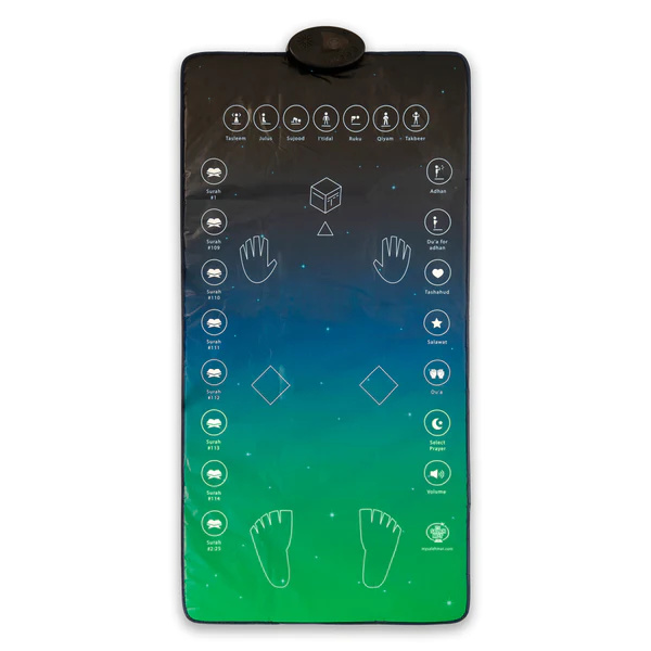 Dark Blue/Green