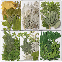 INTODIY – fleurs séchées, plante verte sèche, herbe botanique pour boîte, Bracelet, décoration de bureau, artisanat fait à la main, Nail Art