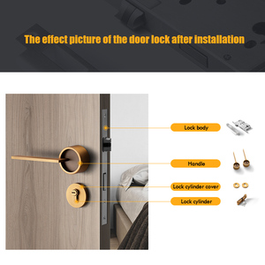 Nuovo stile moderno in lega di zinco infilare la serratura a leva per porte e finestre interne camera da letto <span class=keywords><strong>porta</strong></span> e <span class=keywords><strong>finestra</strong></span> manici per maniglie - Product Image 4