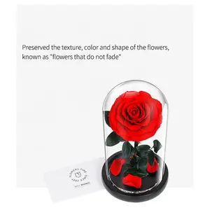 Mawar Asli dengan Lampu LED Yang Diawetkan Mawar Dalam Kaca Bunga Abadi untuk Anak Perempuan Wanita Hadiah Hari Valentine Merah Mawar