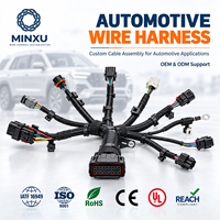Fabricant de faisceaux de câbles personnalisés IATF16949 pour projets OEM/ODM automobiles, connecteurs JST/TE/Molex/HRS/JAE/HARTing